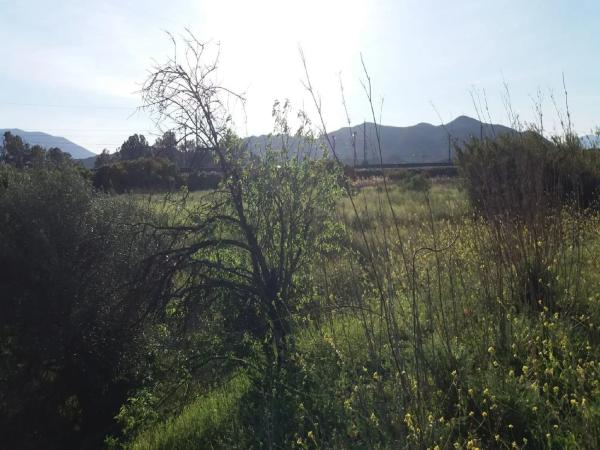 Terreno en camino Caserío las Castañetas