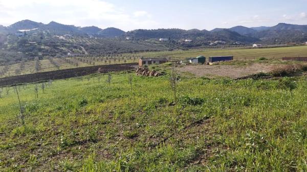 Terreno en Almogía