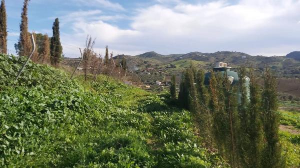 Terreno en Almogía