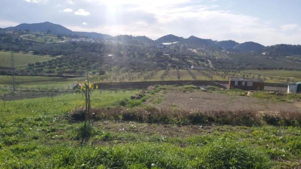 Terreno en Almogía