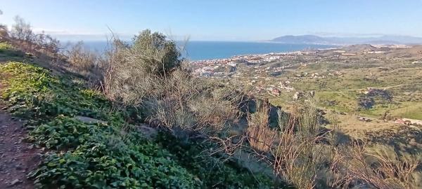 Terreno en Cortijo el Casino