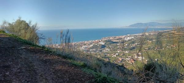 Terreno en Cortijo el Casino