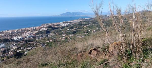 Terreno en Cortijo el Casino