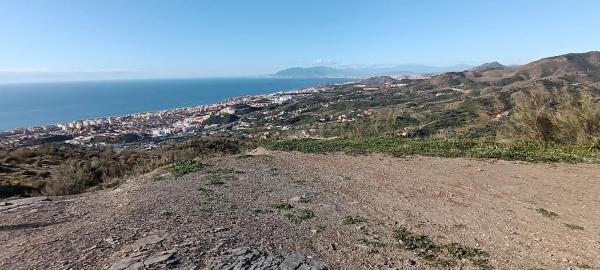 Terreno en Cortijo el Casino