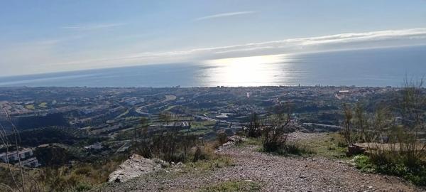 Terreno en Cortijo el Casino
