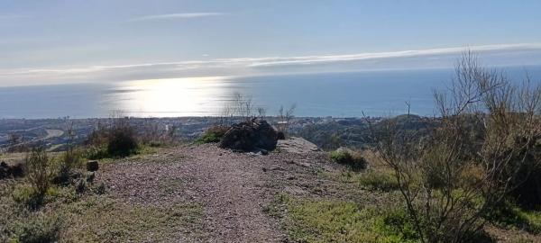 Terreno en Cortijo el Casino