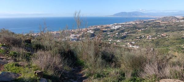 Terreno en Cortijo el Casino