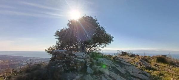 Terreno en Cortijo el Casino