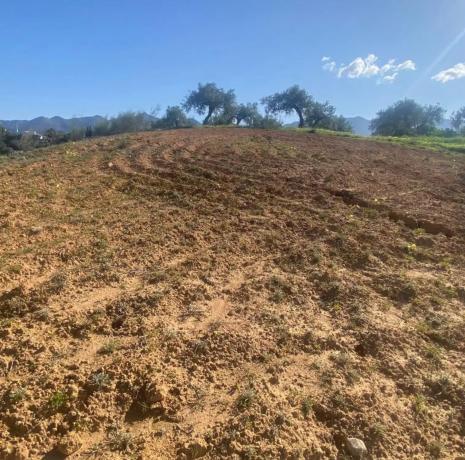 Terreno en Lugar el Quinto