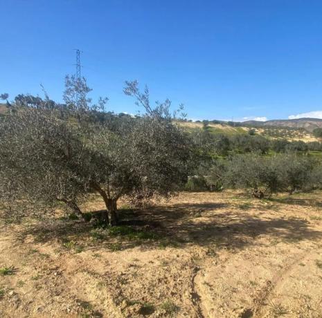 Terreno en Lugar el Quinto