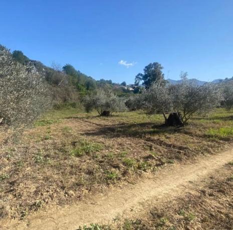 Terreno en Lugar el Quinto