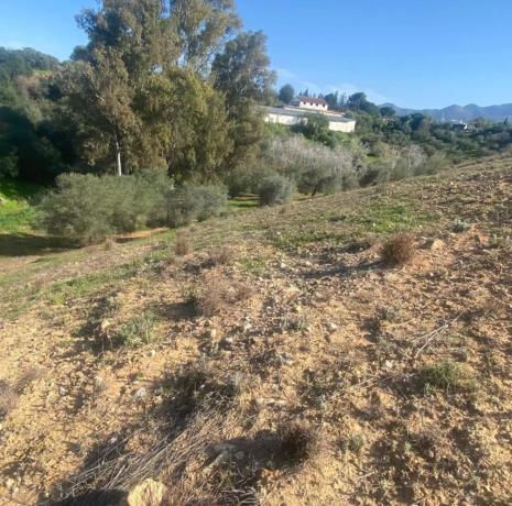 Terreno en Lugar el Quinto