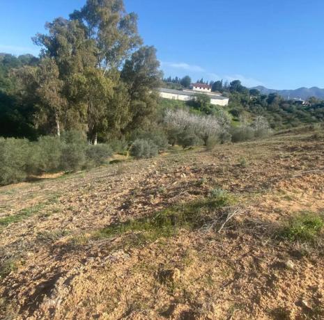 Terreno en Lugar el Quinto