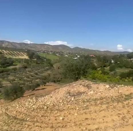 Terreno en Lugar el Quinto