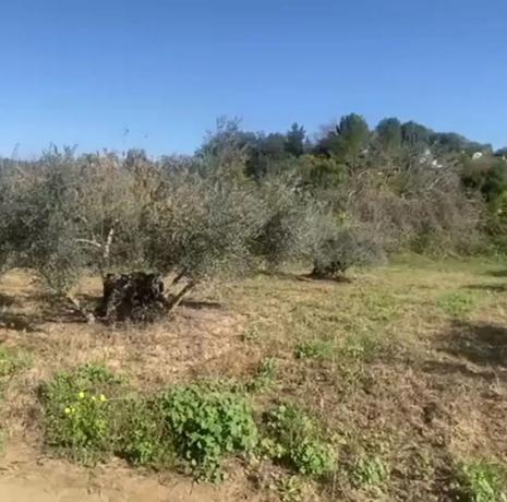 Terreno en Lugar el Quinto