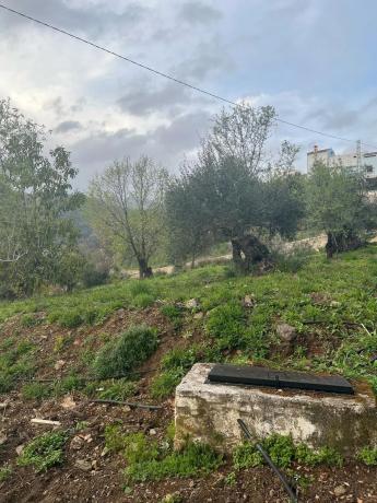 Terreno en Polígono 2, 167