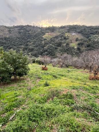 Terreno en Polígono 2, 167