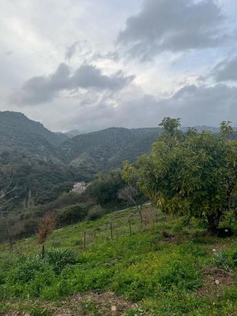 Terreno en Polígono 2, 167