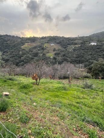 Terreno en Polígono 2, 167