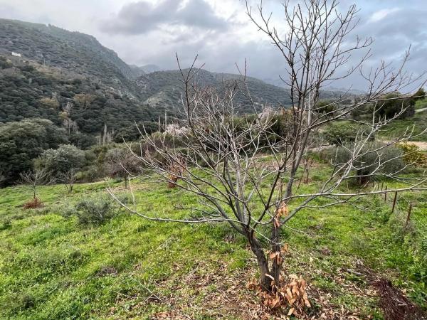 Terreno en Polígono 2, 167