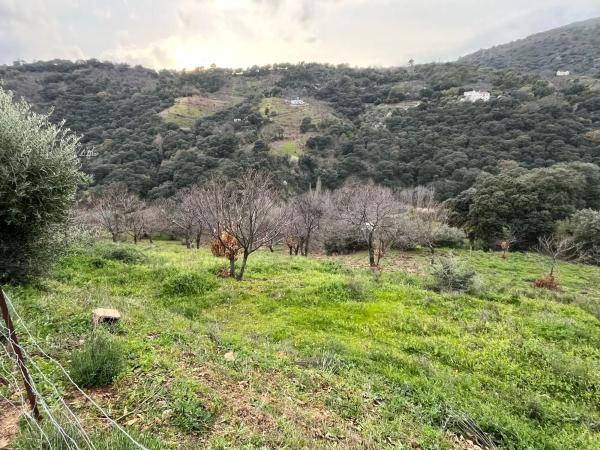 Terreno en Polígono 2, 167