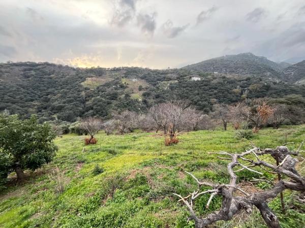 Terreno en Polígono 2, 167