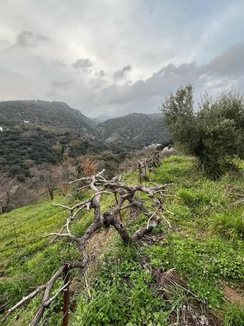 Terreno en Polígono 2, 167
