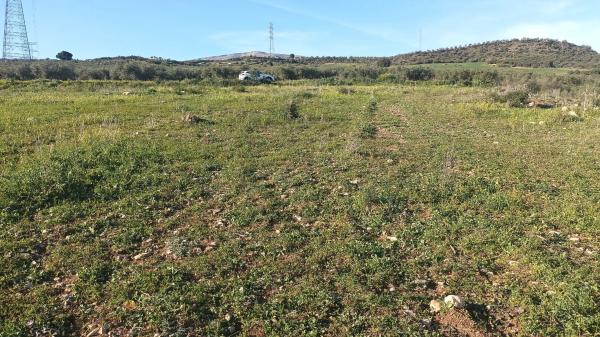 Terreno en Diseminado Poligono 26, 14