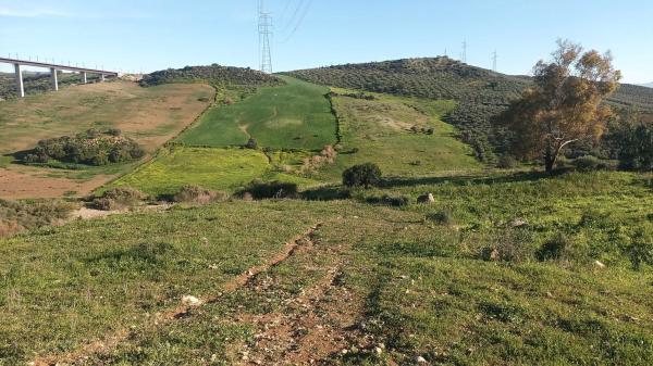 Terreno en Diseminado Poligono 26, 14