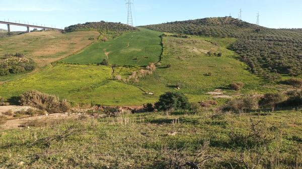 Terreno en Diseminado Poligono 26, 14