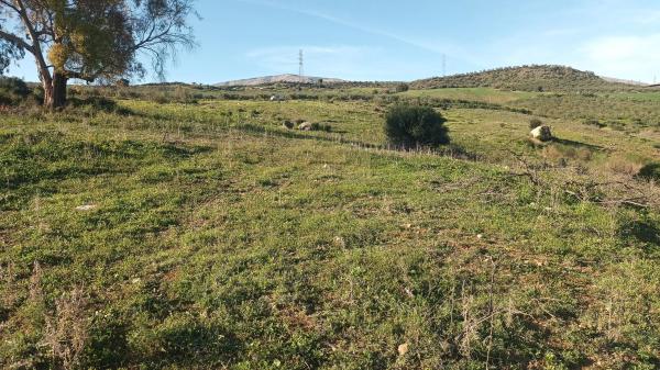 Terreno en Diseminado Poligono 26, 14