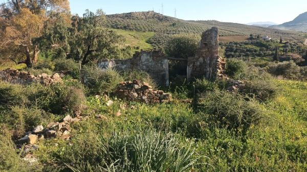 Terreno en Diseminado Poligono 26, 14