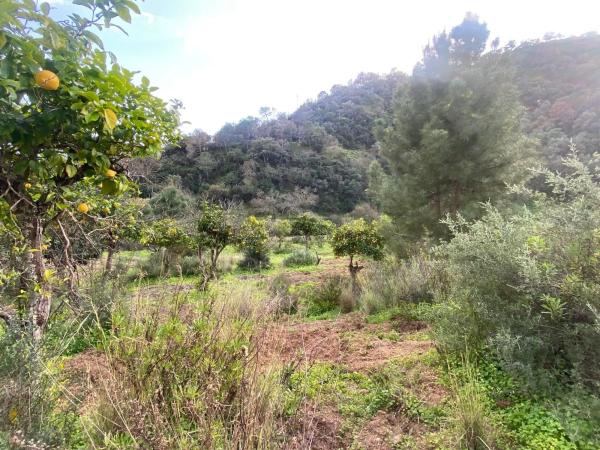 Terreno en camino Elisabeth Burca s/n