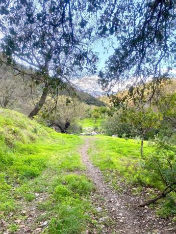 Terreno en camino Elisabeth Burca s/n