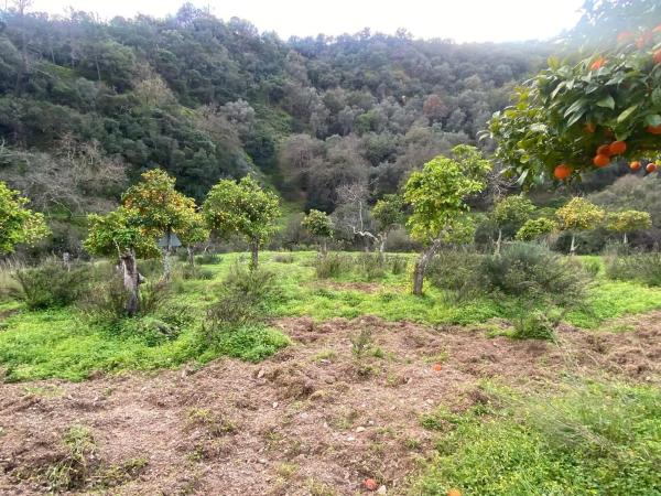 Terreno en camino Elisabeth Burca s/n