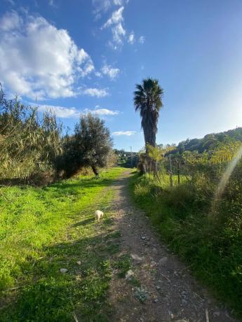 Terreno en camino Elisabeth Burca s/n