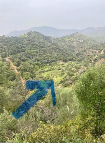 Terreno en camino Elisabeth Burca s/n