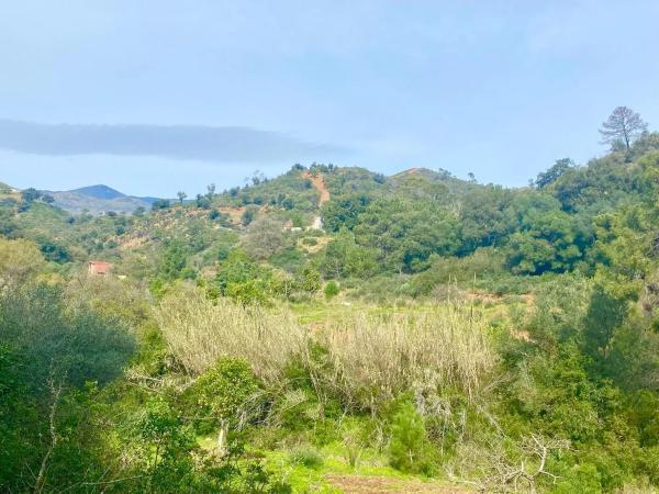 Terreno en camino Elisabeth Burca s/n