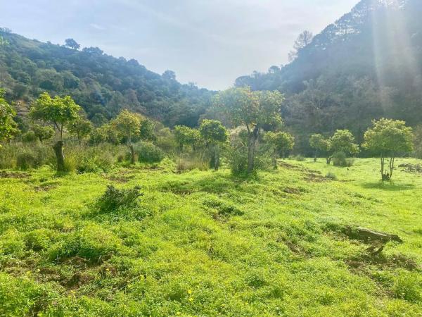 Terreno en camino Elisabeth Burca s/n