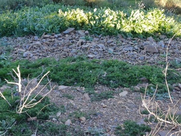 Terreno en Moclinejo