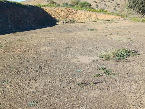 Terreno en Moclinejo