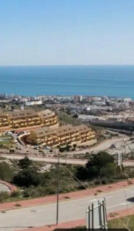 Terreno en calle Oregano, 3