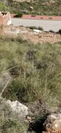 Terreno en calle Oregano, 3