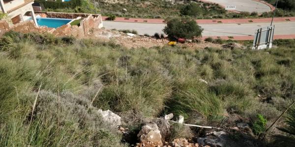 Terreno en calle Oregano, 3