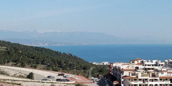 Terreno en calle Oregano, 3