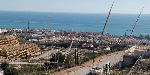 Terreno en calle Oregano, 3