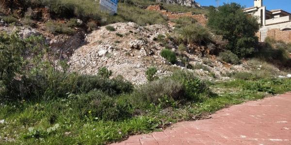 Terreno en calle Oregano, 3