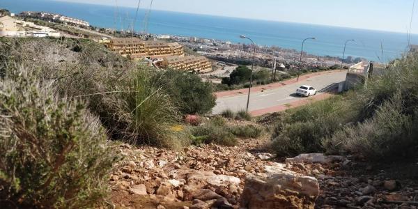 Terreno en calle Oregano, 3