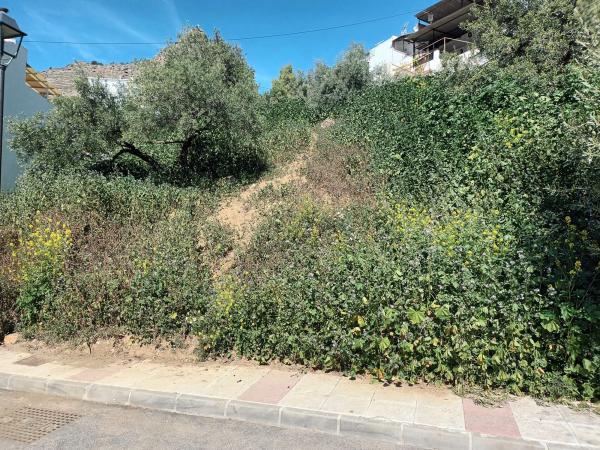 Terreno en calle Santa Argéntea, 706