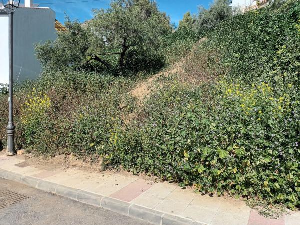 Terreno en calle Santa Argéntea, 706